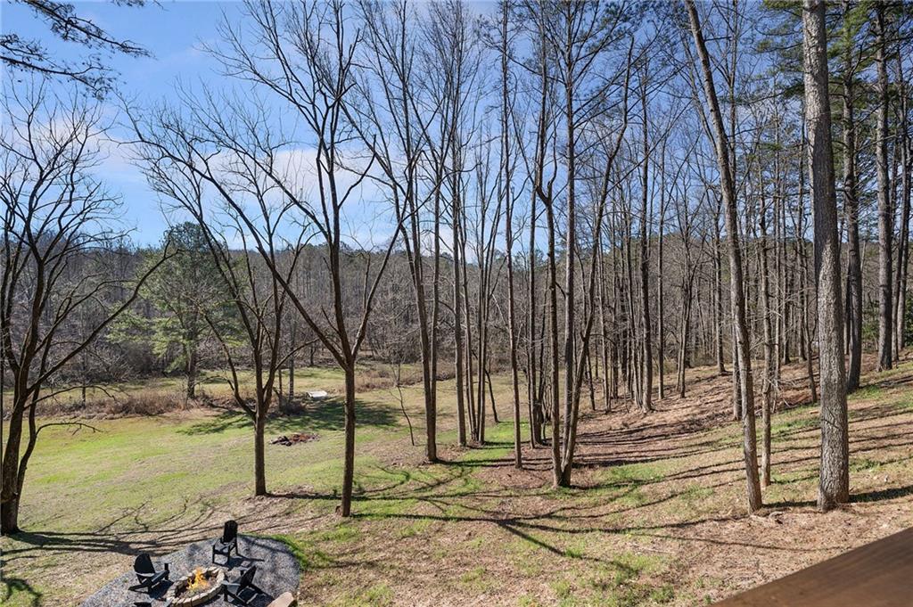 1783 4 Mile Church Road Ball Ground, GA 30107 - Photo 20 of 60 a view of a park with iron fence
