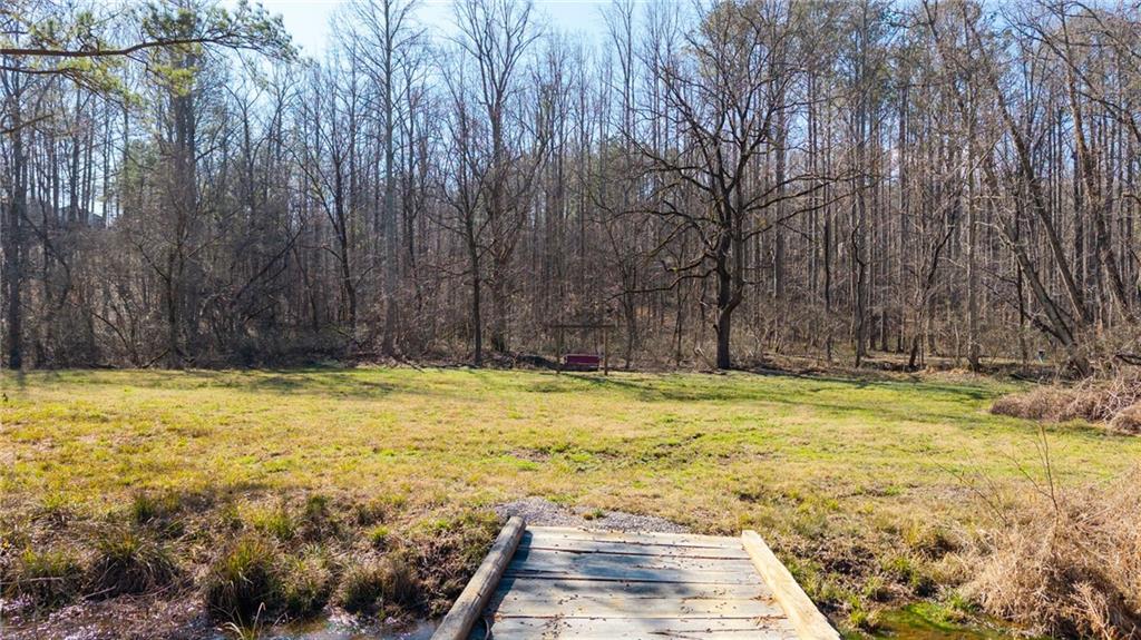 1783 4 Mile Church Road Ball Ground, GA 30107 - Photo 8 of 60