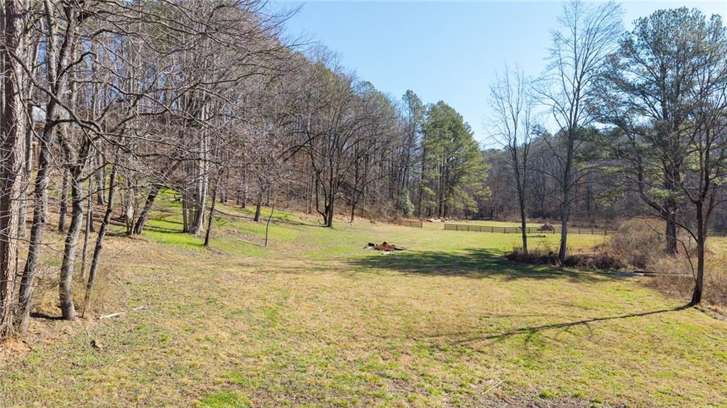 1783 4 Mile Church Road Ball Ground, GA 30107 - Photo 8 of 60