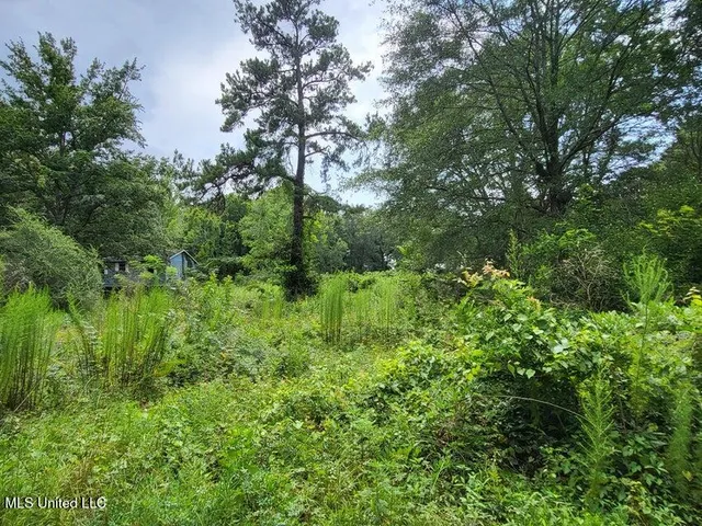 $21,000 | 214 B Gandy Street, Petal, MS 39465