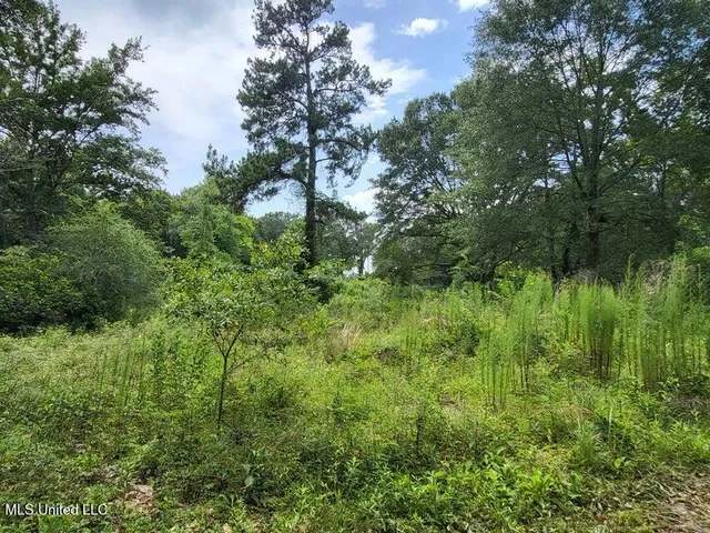 $21,000 | 214 B Gandy Street, Petal, MS 39465