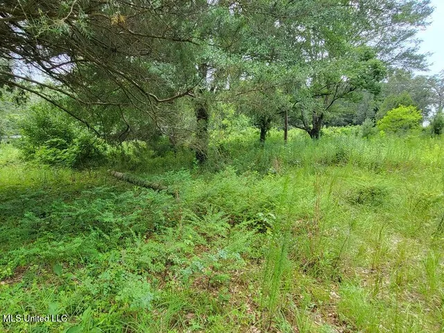 $21,000 | 214 B Gandy Street, Petal, MS 39465