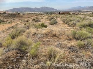 166 Apache Street Tehachapi, CA 93561 - Photo 8 of 11 Gallery Image 8