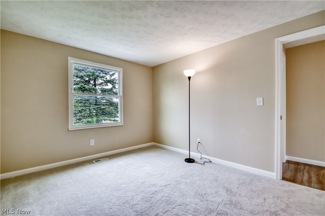 6996 Roe Boulevard Madison, OH 44057 - Photo 19 of 38