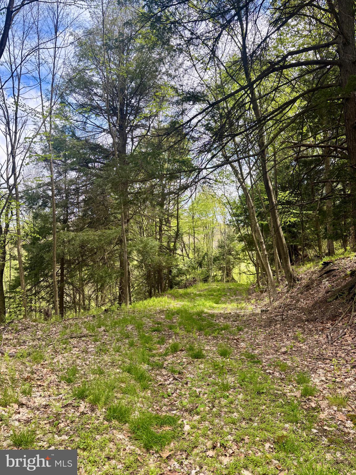 2800 Center Hill Road Brookville, PA 15825 - Photo 20 of 34
