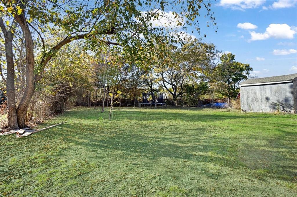 203 South Carter Street Whitewright, TX 75491 - Photo 12 of 18 View of green lawn