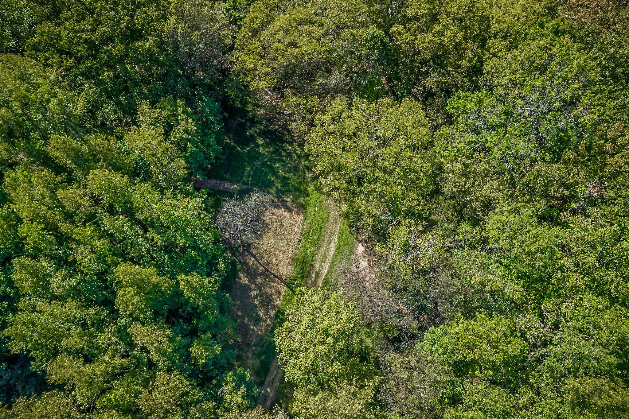 43 Moss Bend Road Lancaster, TN 38569 - Photo 12 of 75