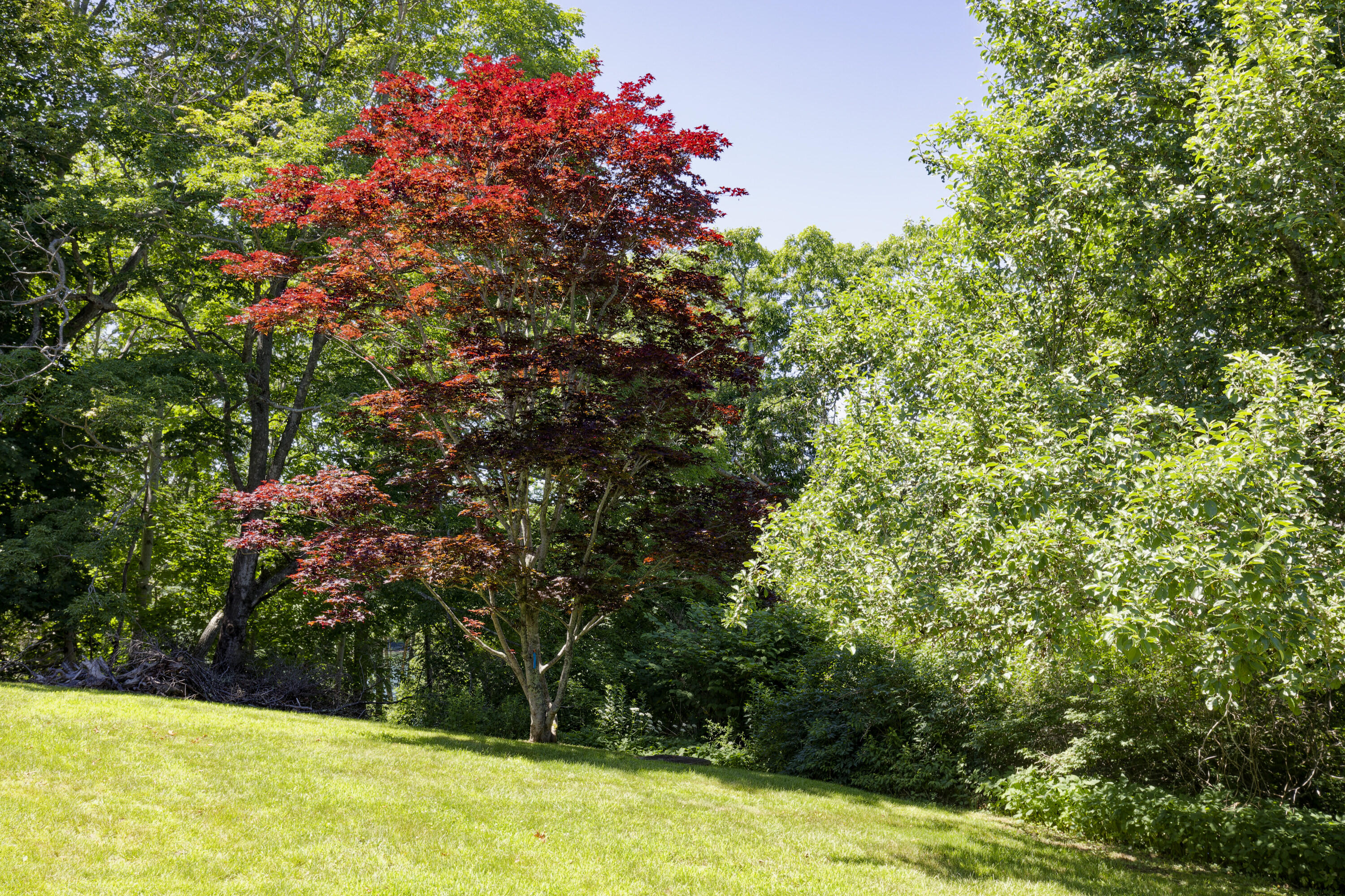 239 Ocean Point Road Boothbay, ME 04544 - Photo 12 of 40 12-239OceanPtRd-AT