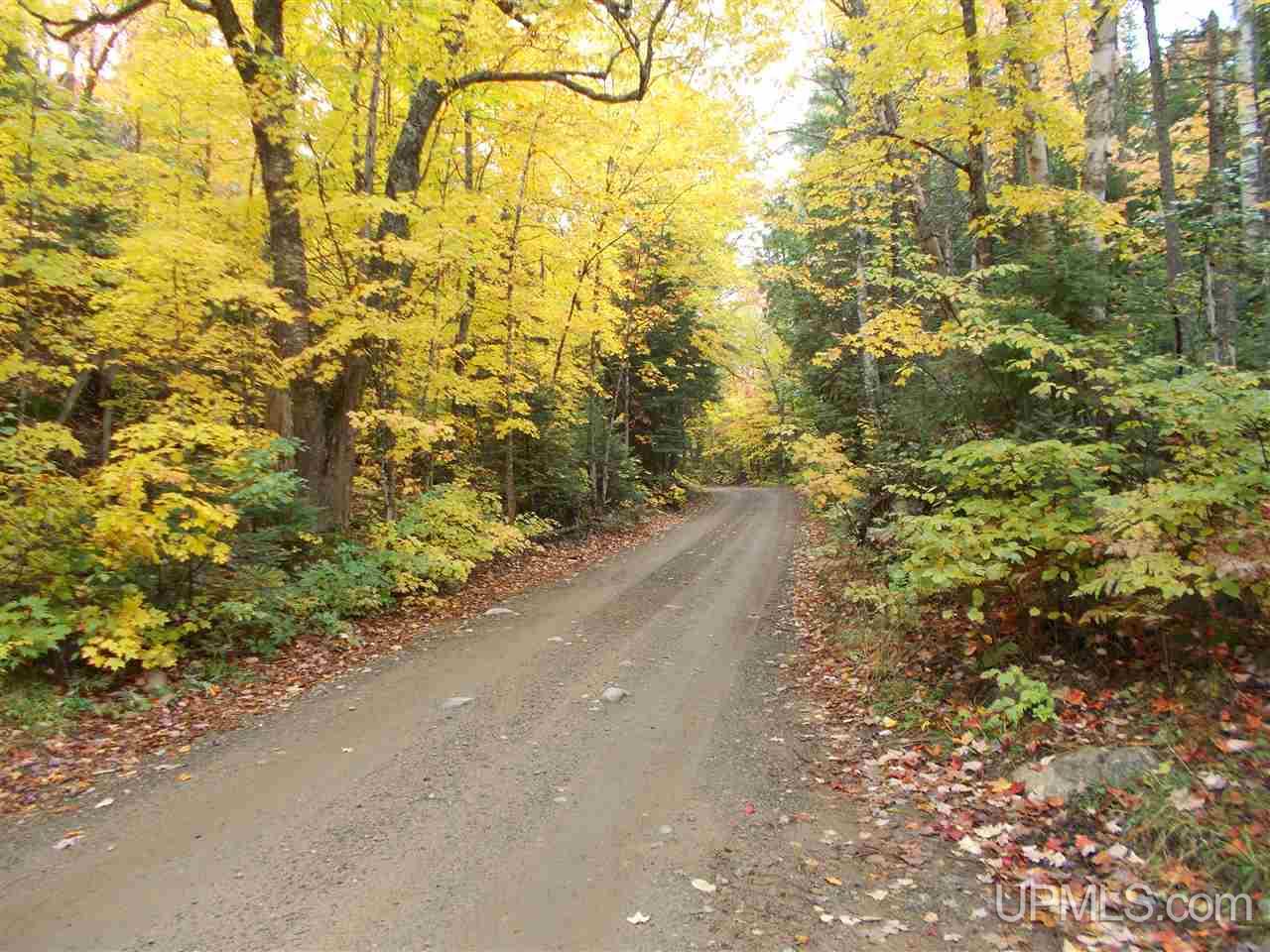 640-acres Peshekee Grade Road Skanee, MI 49946 - Photo 2 of 37