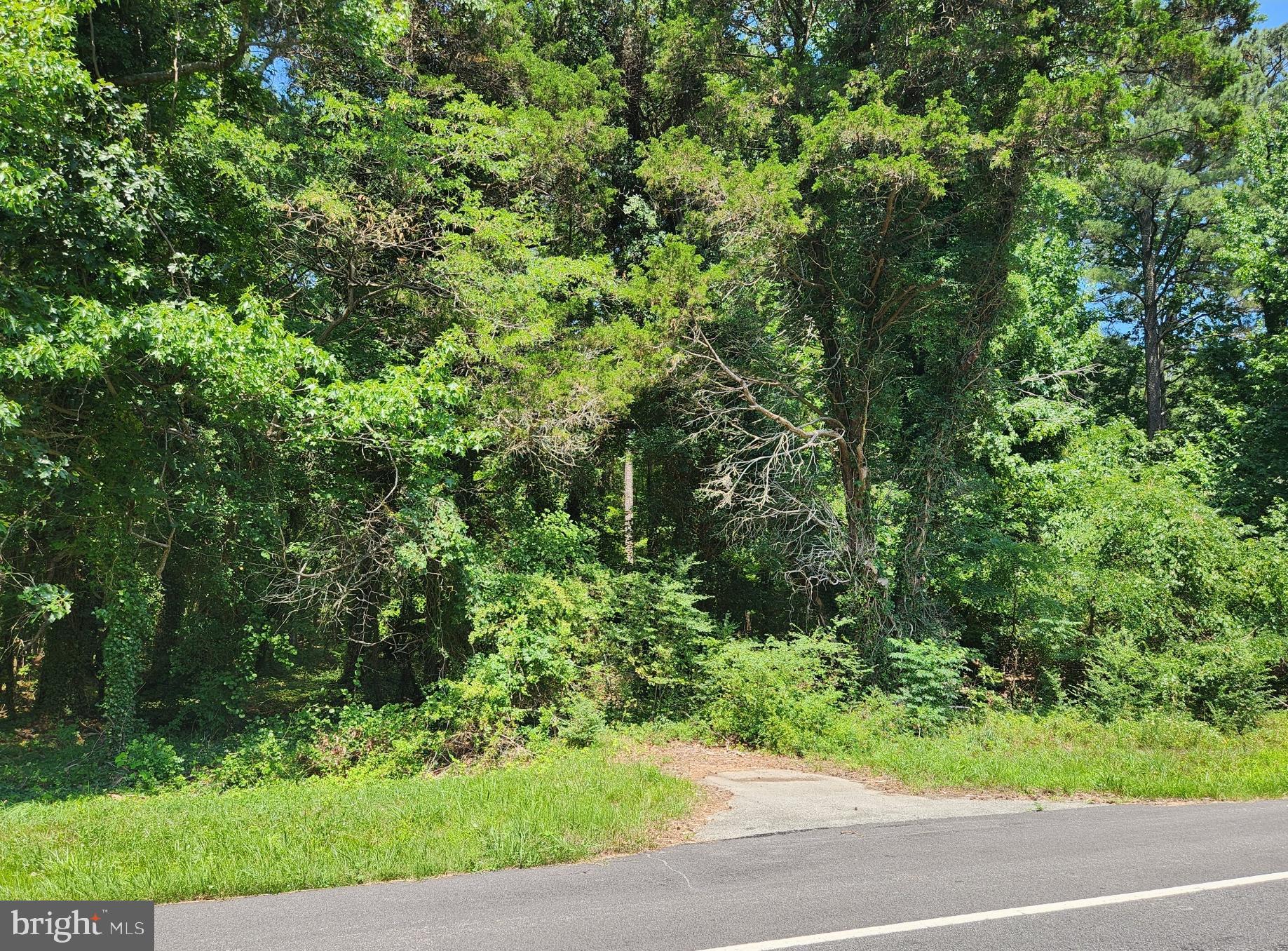 Point Lookout Road Scotland, MD 20687 - Photo 2 of 19 Paved pad to "Old Farm Rd"