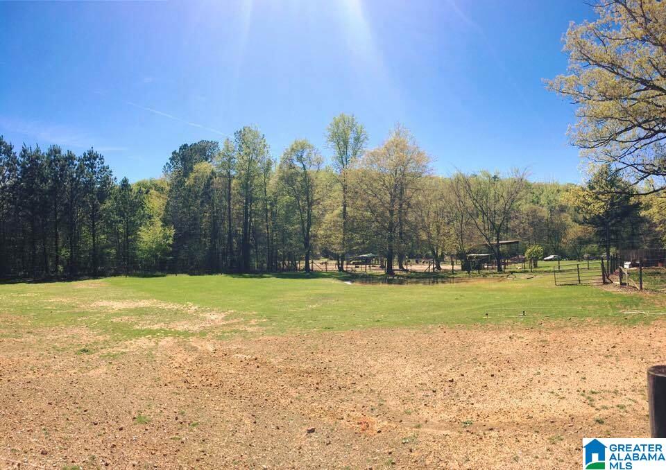 2210 Massey Road Alabaster, AL 35007 - Photo 8 of 18