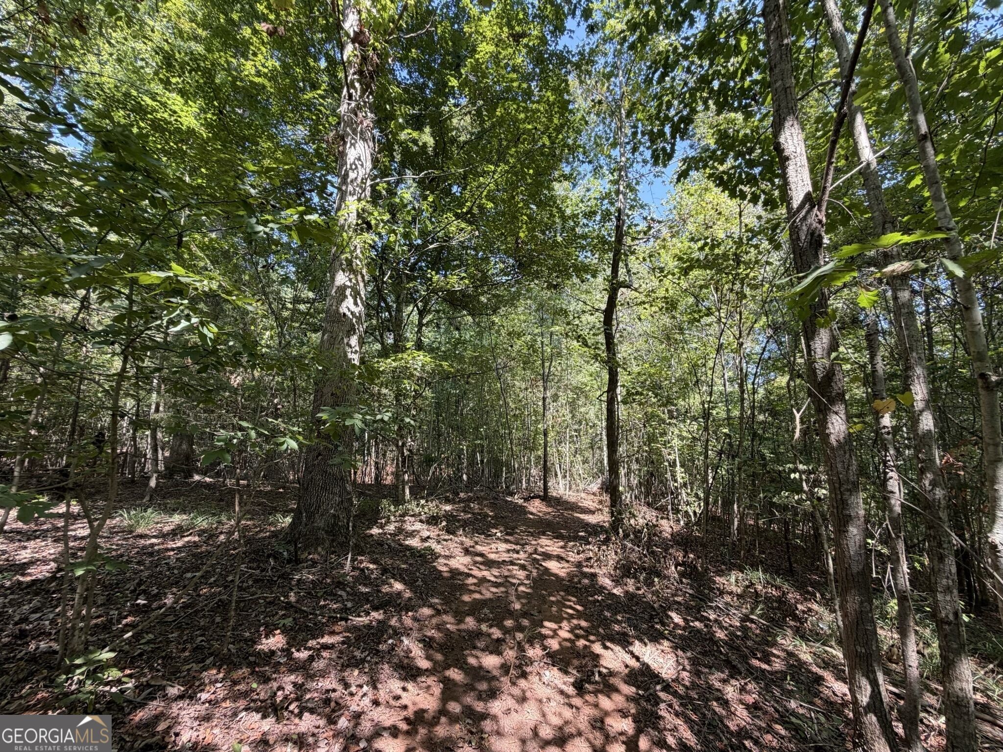 11 Bunch Road Tignall, GA 30668 - Photo 25 of 81 Gallery Image 25