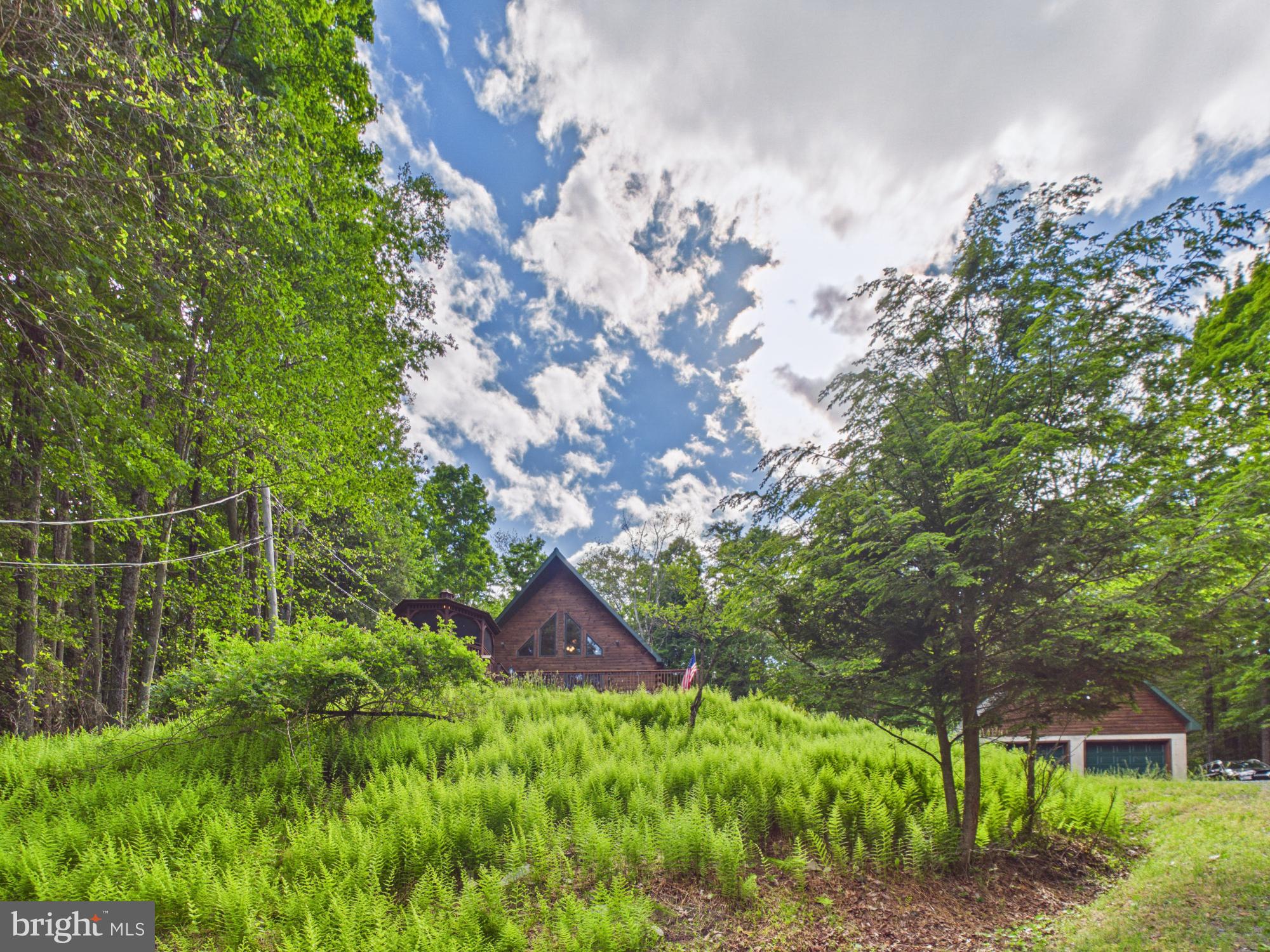 477 Finn Swamp Road Lakeville, PA 18438 - Photo 27 of 53 Another view