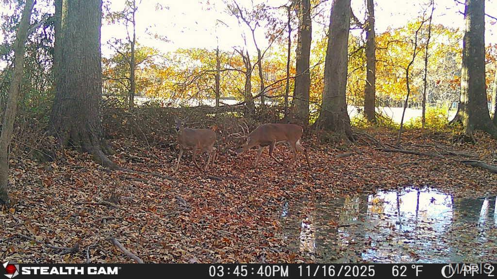 0 State Highway Royalton, IL 62983 - Photo 12 of 13