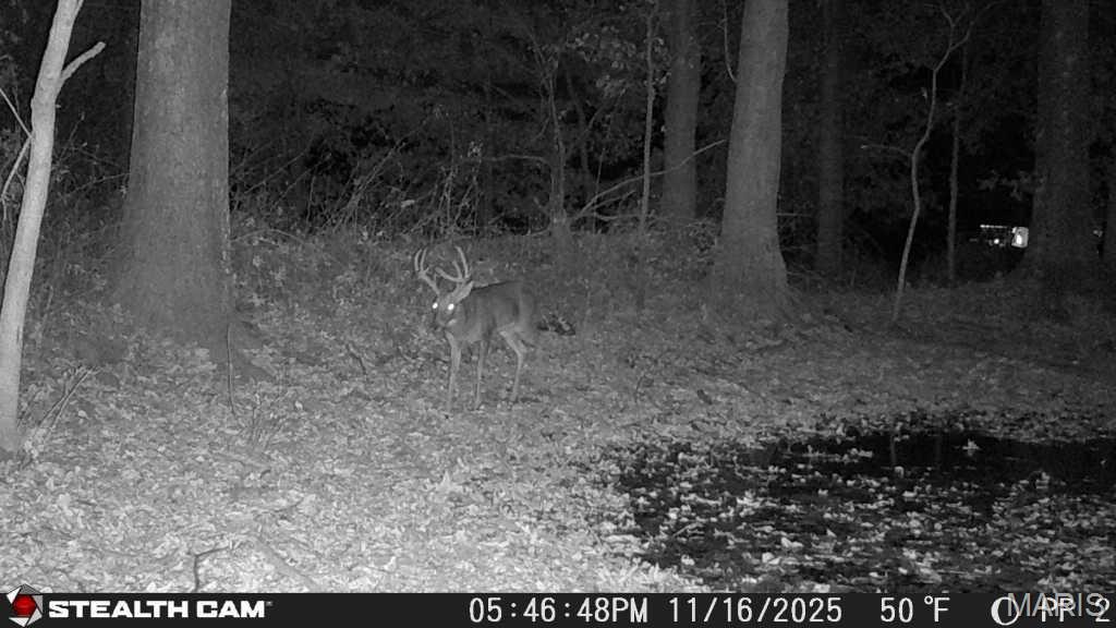 0 State Highway Royalton, IL 62983 - Photo 13 of 13