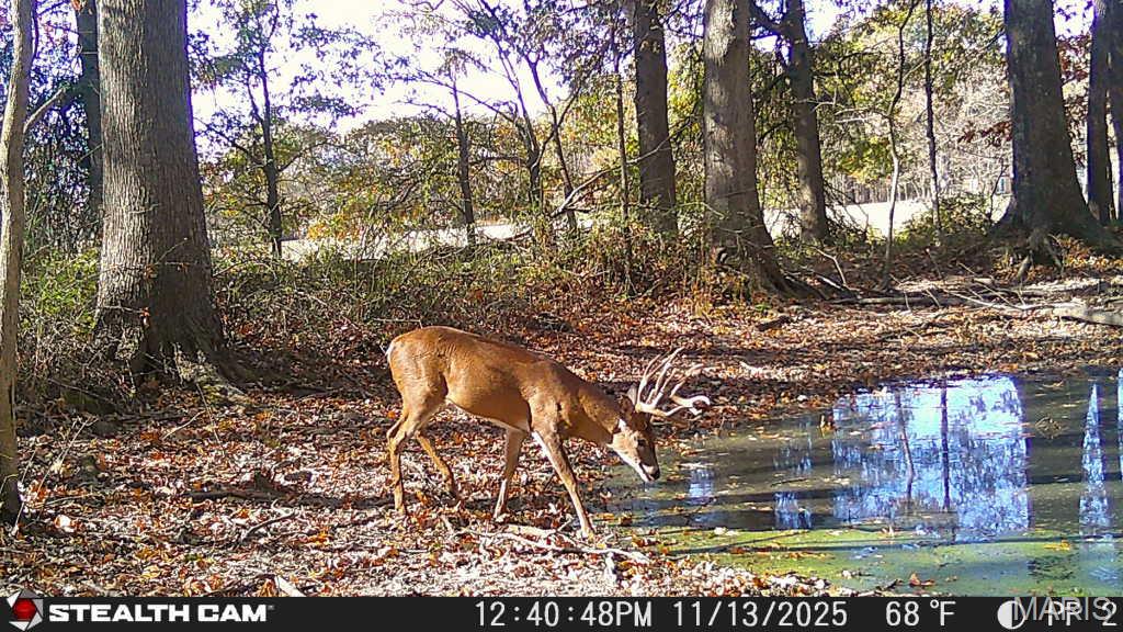 0 State Highway Royalton, IL 62983 - Photo 3 of 13