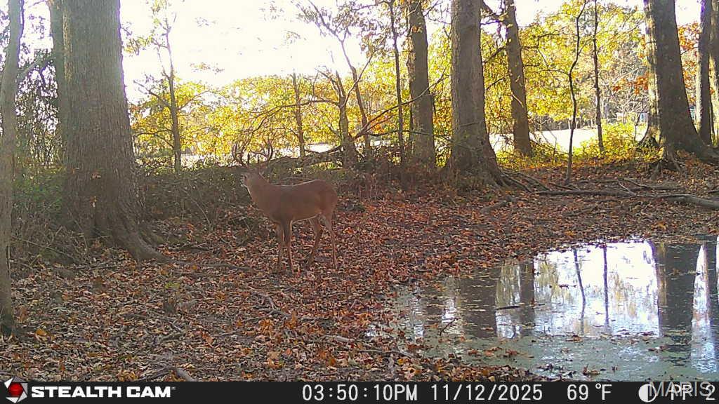 0 State Highway Royalton, IL 62983 - Photo 7 of 13