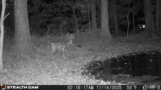 $360,000 | 0 State Highway, Royalton, IL 62983