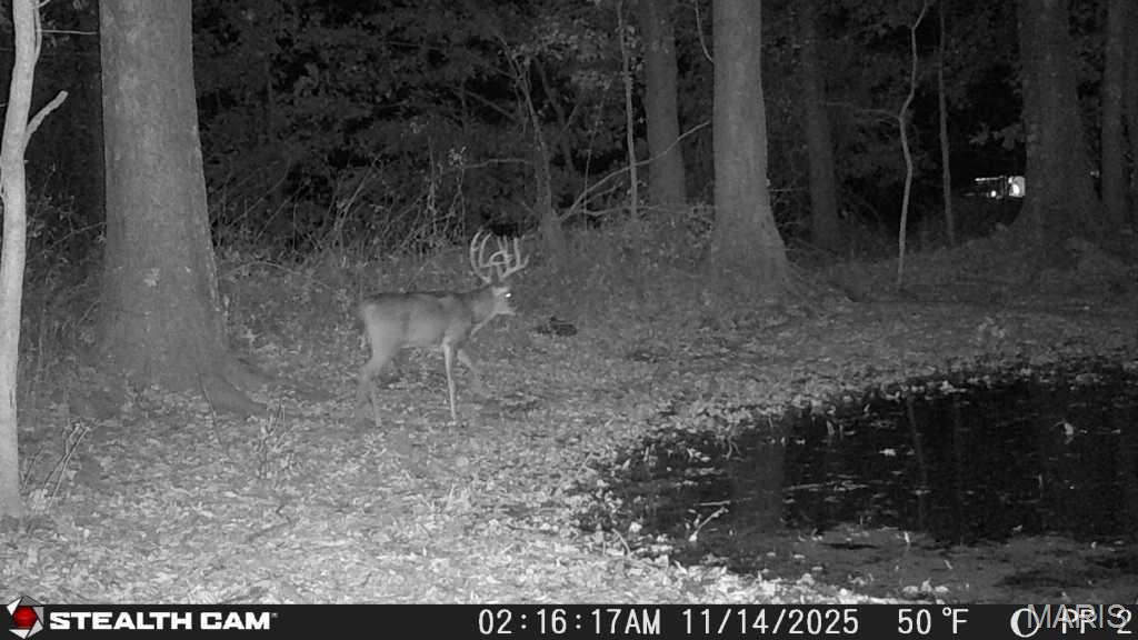 0 State Highway Royalton, IL 62983 - Photo 9 of 13