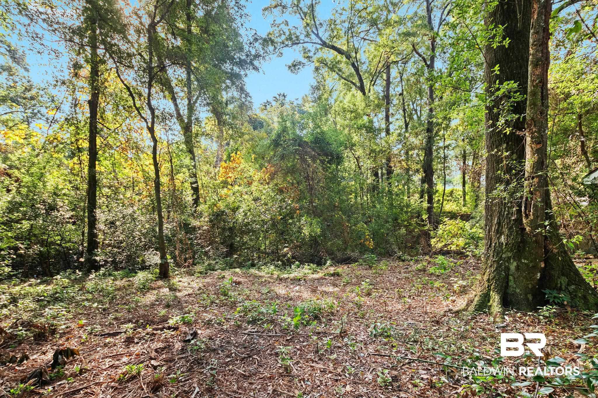 752 Evergreen Street Fairhope, AL 36532 - Photo 66 of 100 View of wooded area