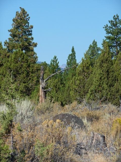 64055 Tyler Road Bend, OR 97703 - Photo 23 of 23 Additional Photo