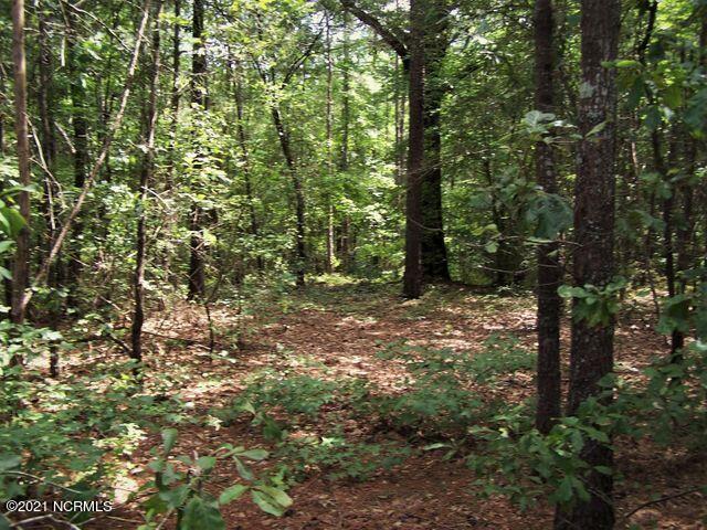 Lot 159 Tbd North State Lane Rockingham, NC 28379 - Photo 4 of 18 lot 159 4