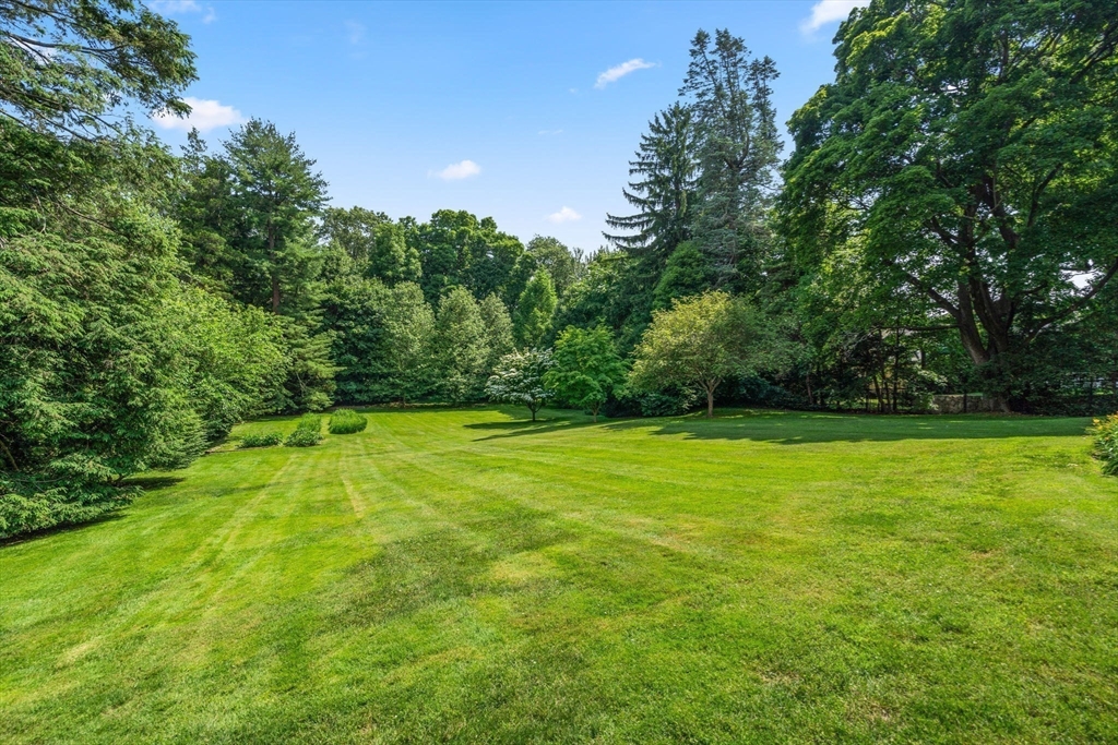 Lot 3 Chapin Road Newton, MA 02459 - Photo 5 of 8 a view of a outdoor space