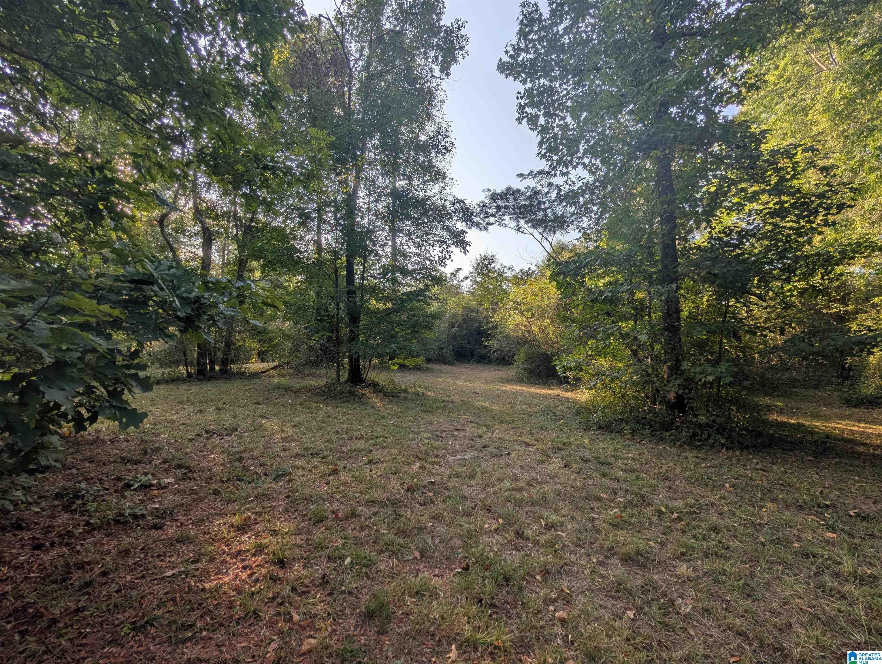 591 McClain Road, Unit 2 Bessemer, AL 35023 - Photo 10 of 15 Gallery Image 10