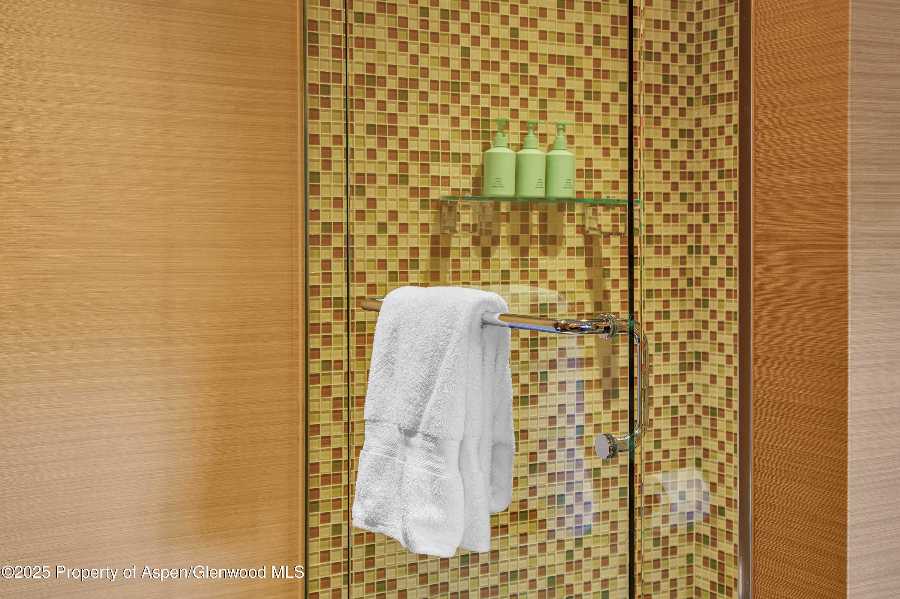 130 Wood Road, Unit 736 Snowmass Village, CO 81615 - Photo 14 of 15 F09A1425