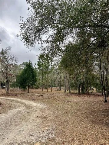 a view of road with trees