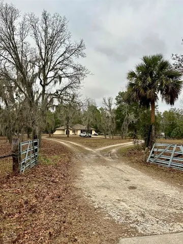 a view of a lush green field with a tree