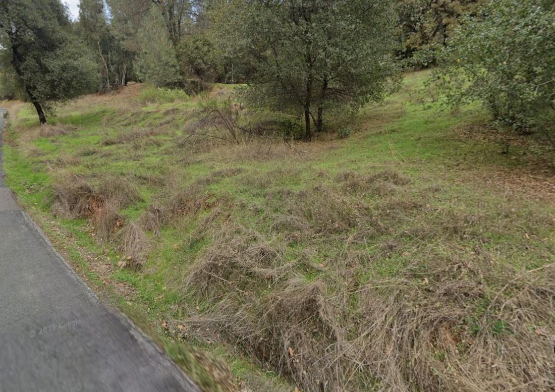 391 Clipper Gap Road Auburn, CA 95603 - Photo 4 of 8