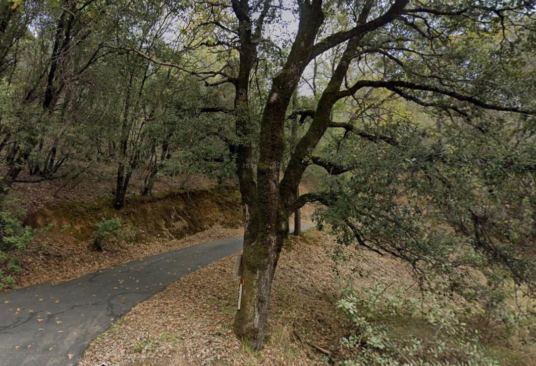 391 Clipper Gap Road Auburn, CA 95603 - Photo 5 of 8