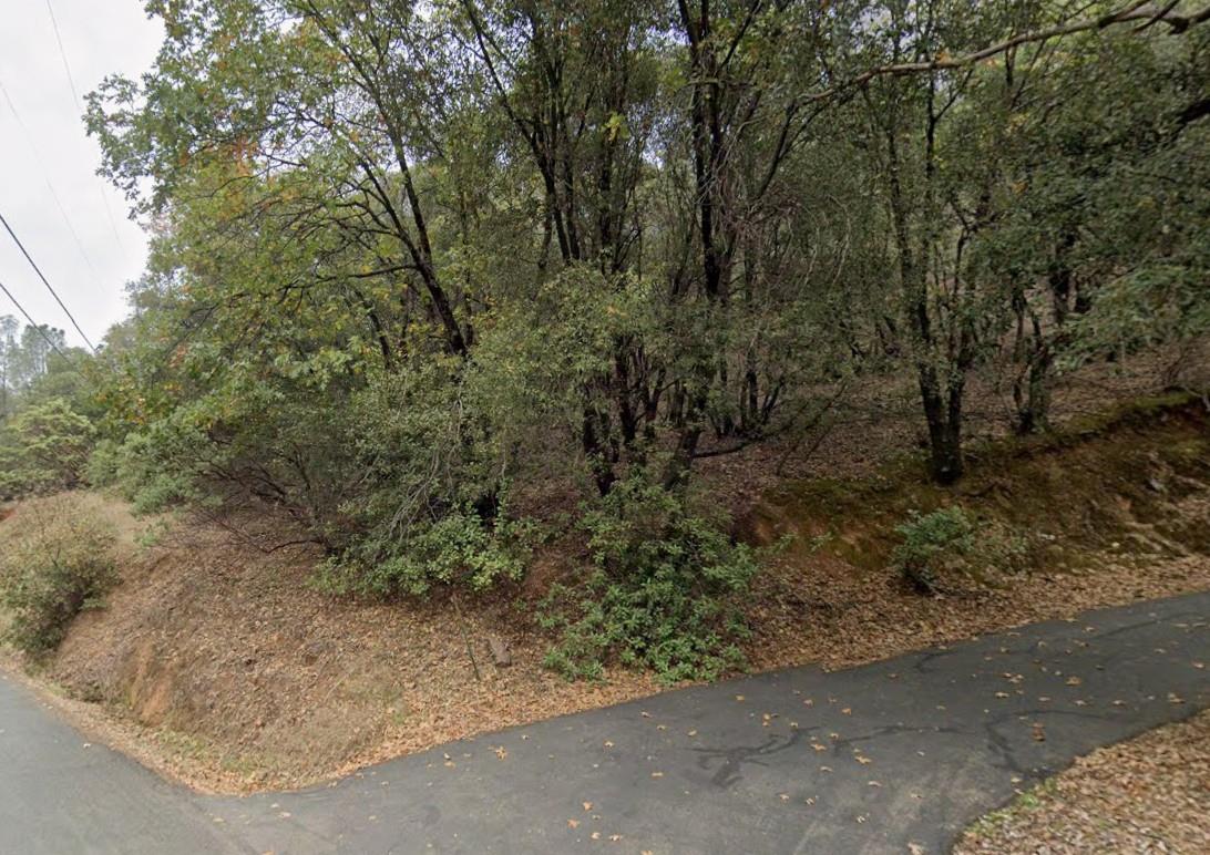 391 Clipper Gap Road Auburn, CA 95603 - Photo 6 of 8