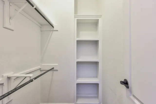 a view of a yard with plants and trees