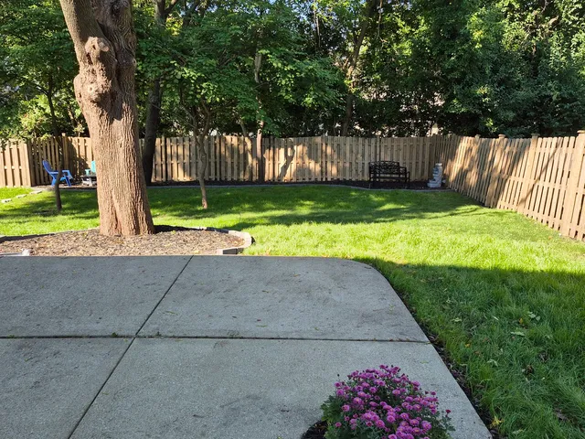 a view of backyard with large tree and wooden fence