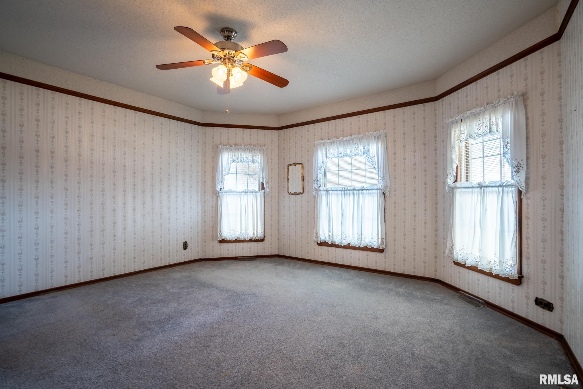 401 North Jenette Avenue Buckner, IL 62819 - Photo 20 of 53