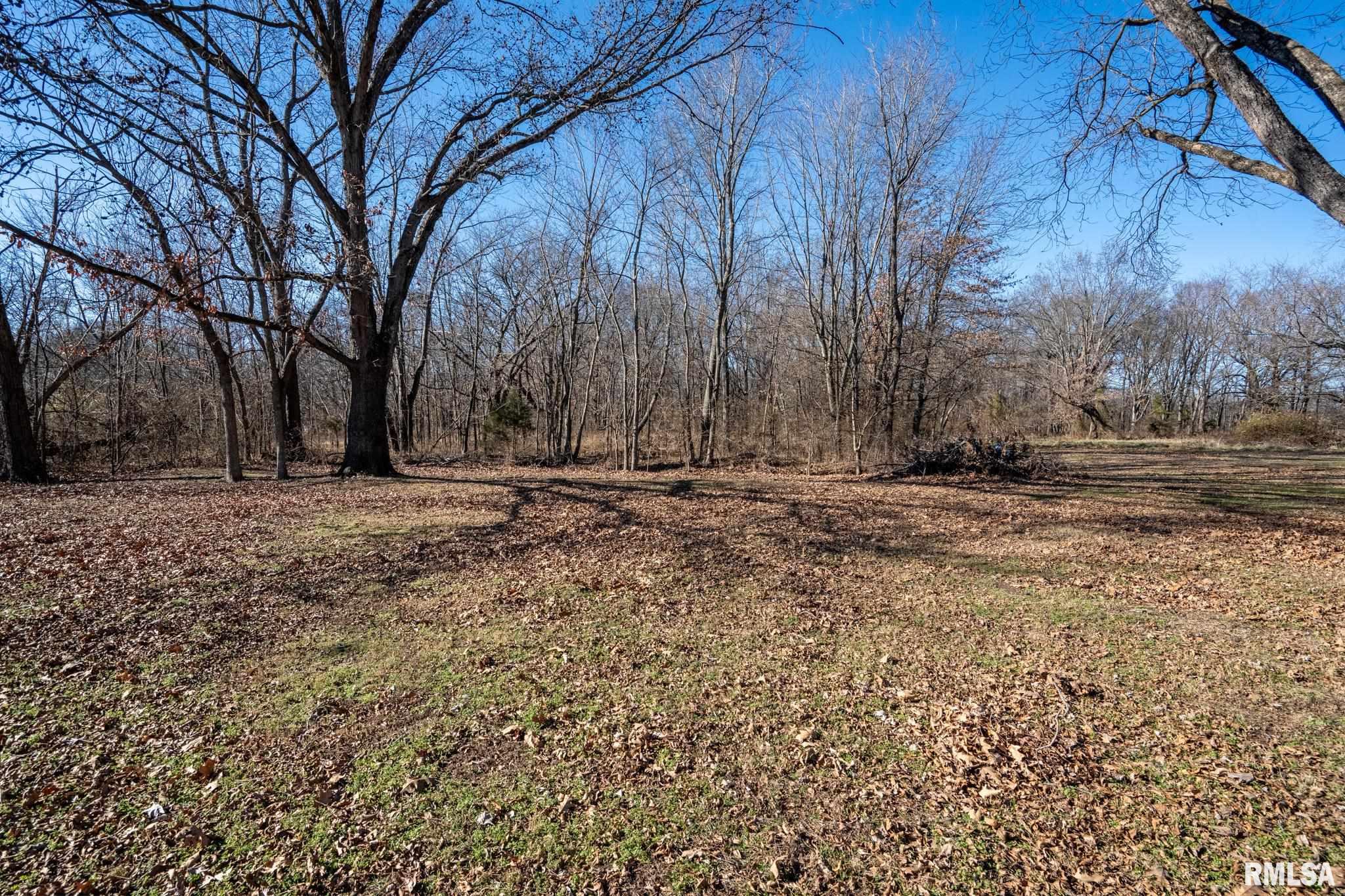 401 North Jenette Avenue Buckner, IL 62819 - Photo 39 of 53