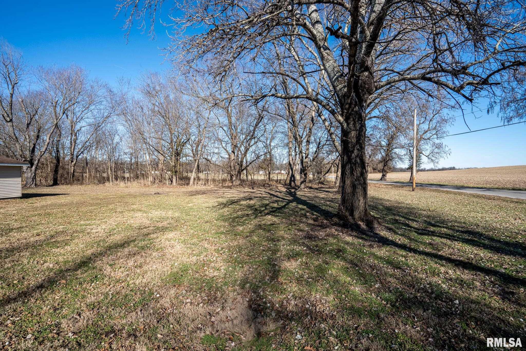 401 North Jenette Avenue Buckner, IL 62819 - Photo 44 of 53