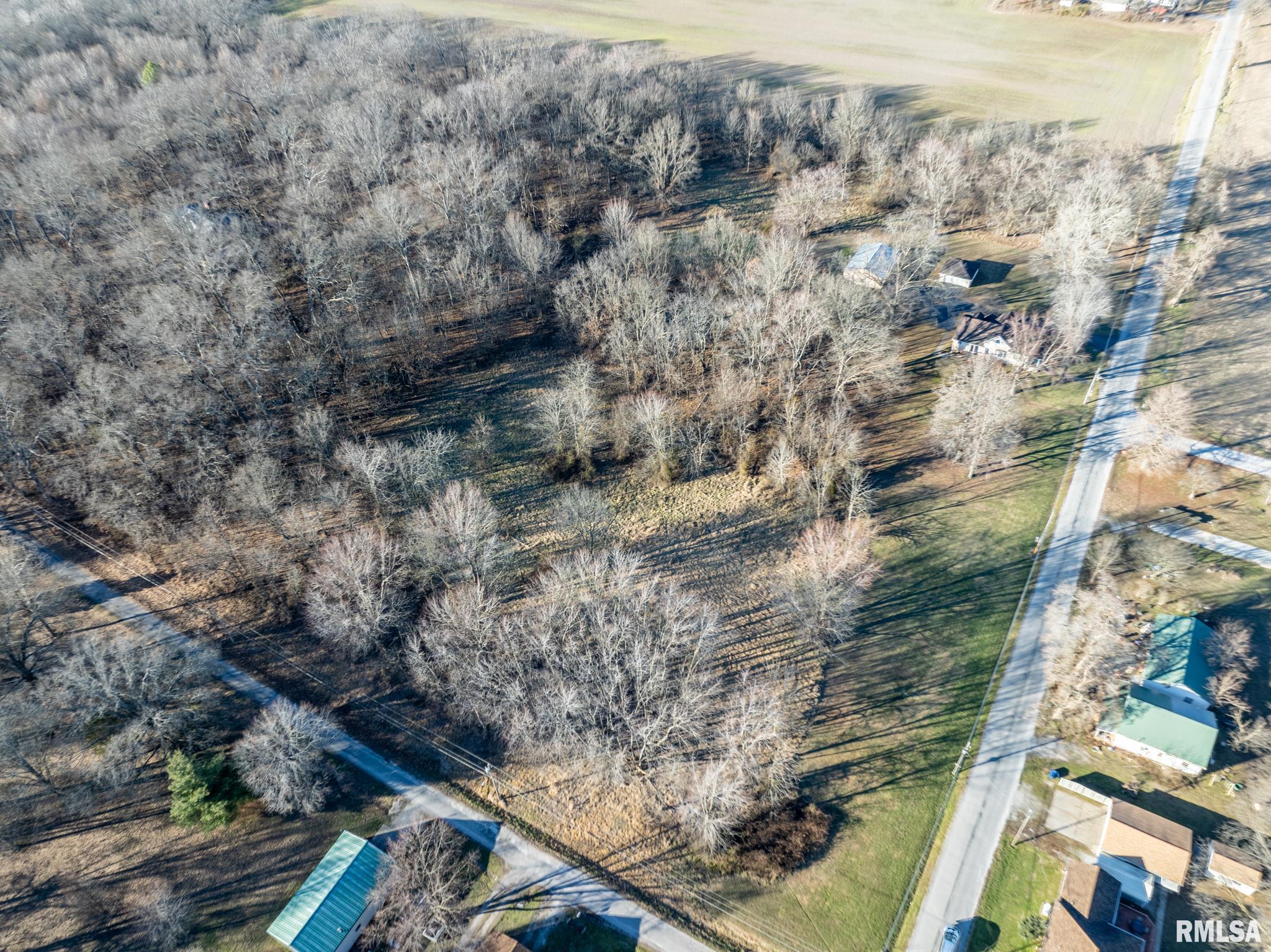 401 North Jenette Avenue Buckner, IL 62819 - Photo 48 of 53