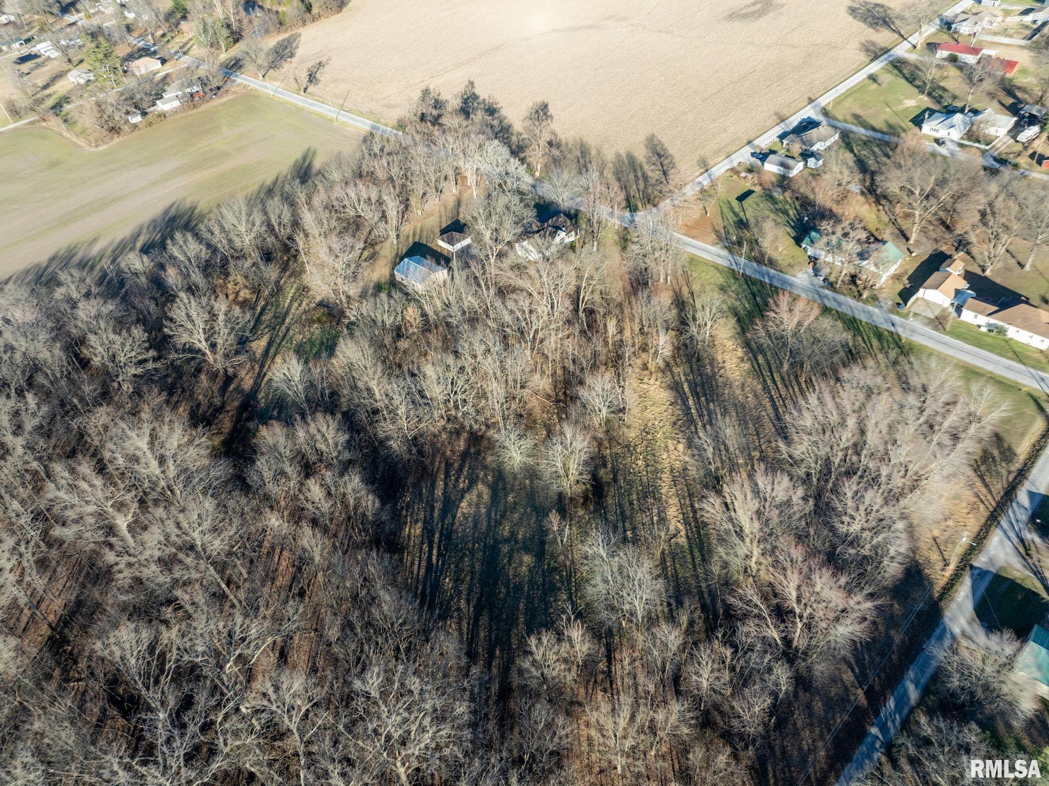 401 North Jenette Avenue Buckner, IL 62819 - Photo 51 of 53