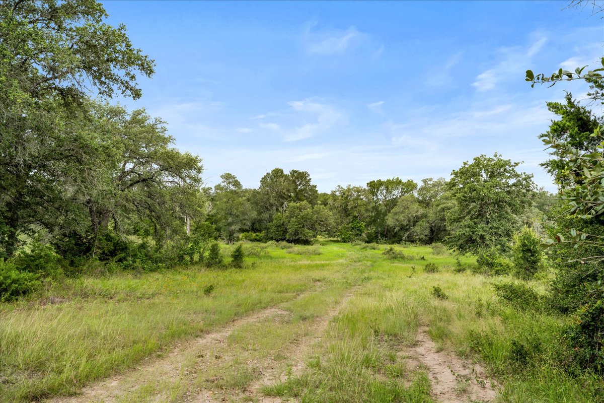 8413 Mach Road La Grange, TX 78945 - Photo 7 of 40