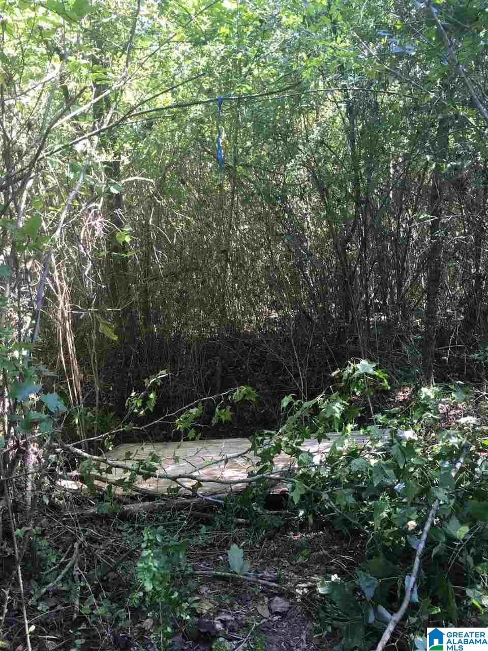 0 Duck Springs Road, Unit 2 PARCELS Attalla, AL 35954 - Photo 5 of 24