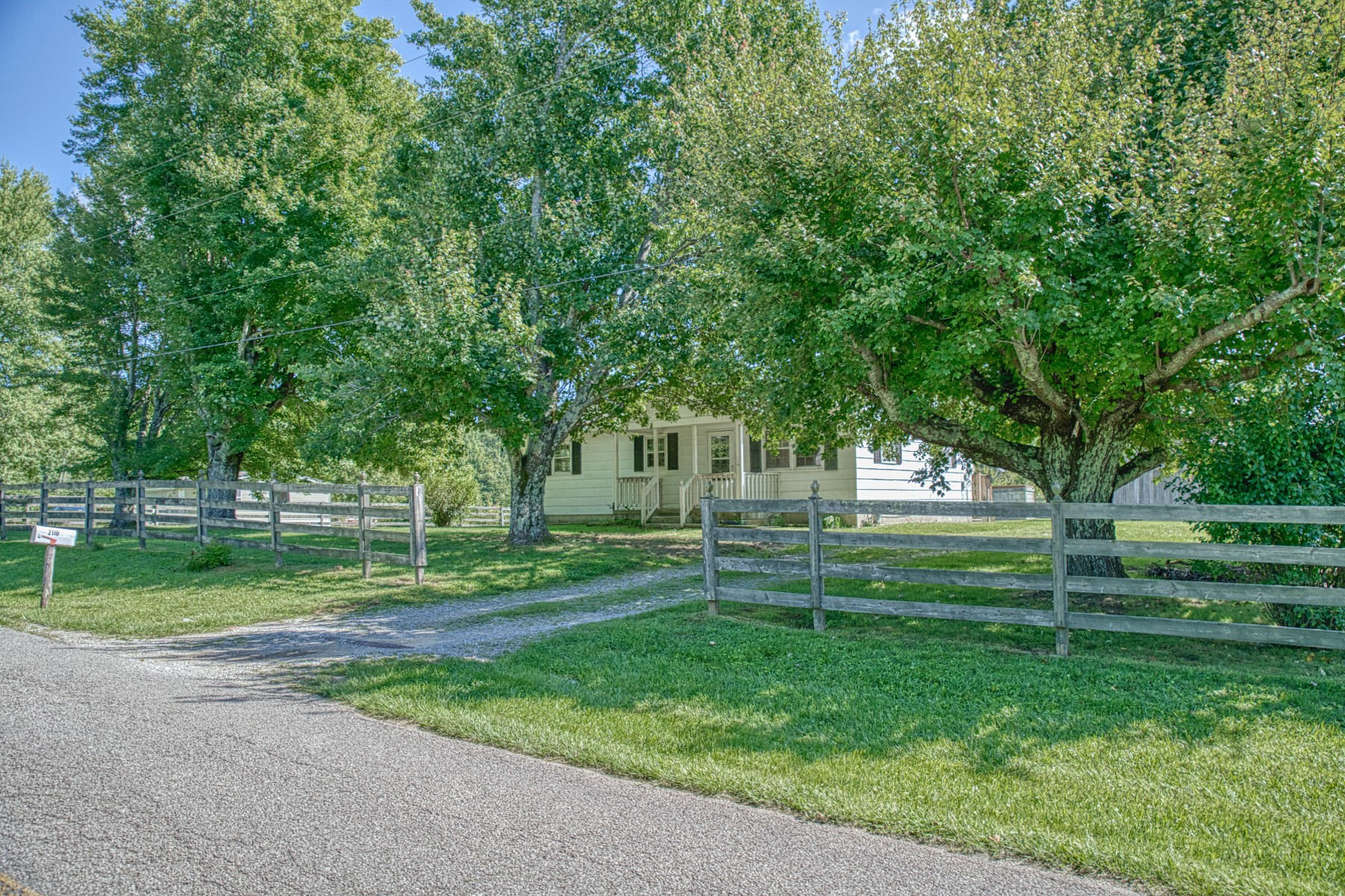 a view of a park with large trees