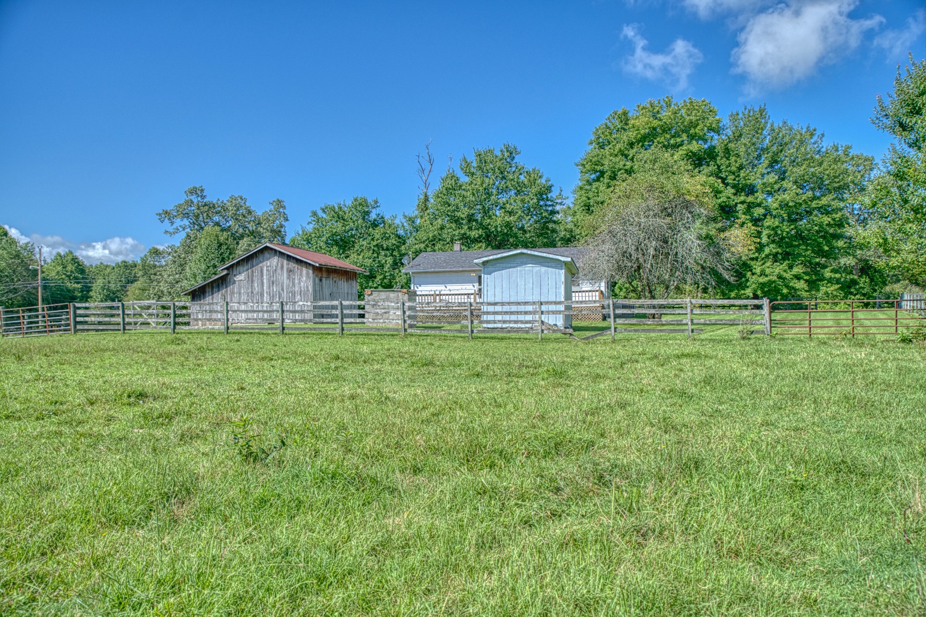 2110 Jr Camp Road Monterey, TN 38574 - Photo 18 of 35 a backyard of a house with lots of green space