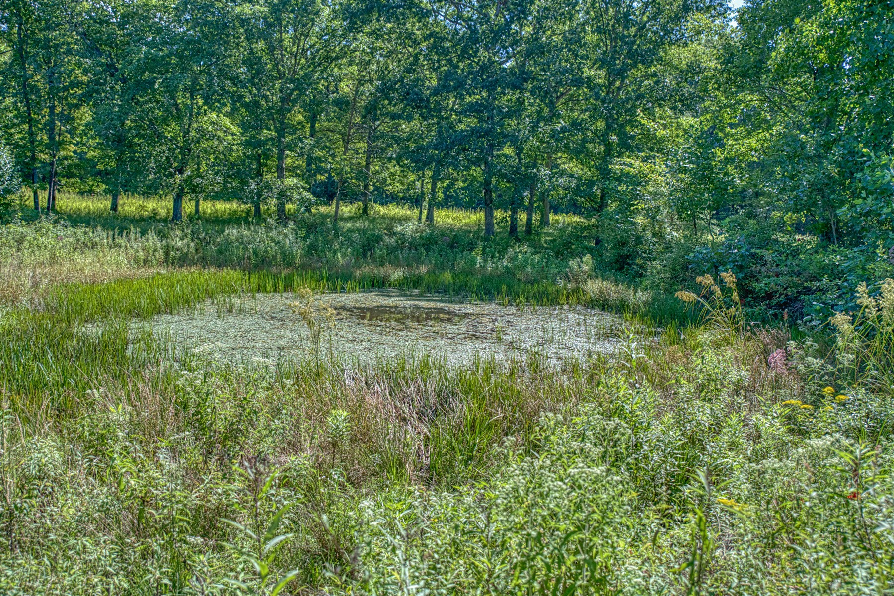 2110 Jr Camp Road Monterey, TN 38574 - Photo 20 of 35 a view of outdoor space and yard