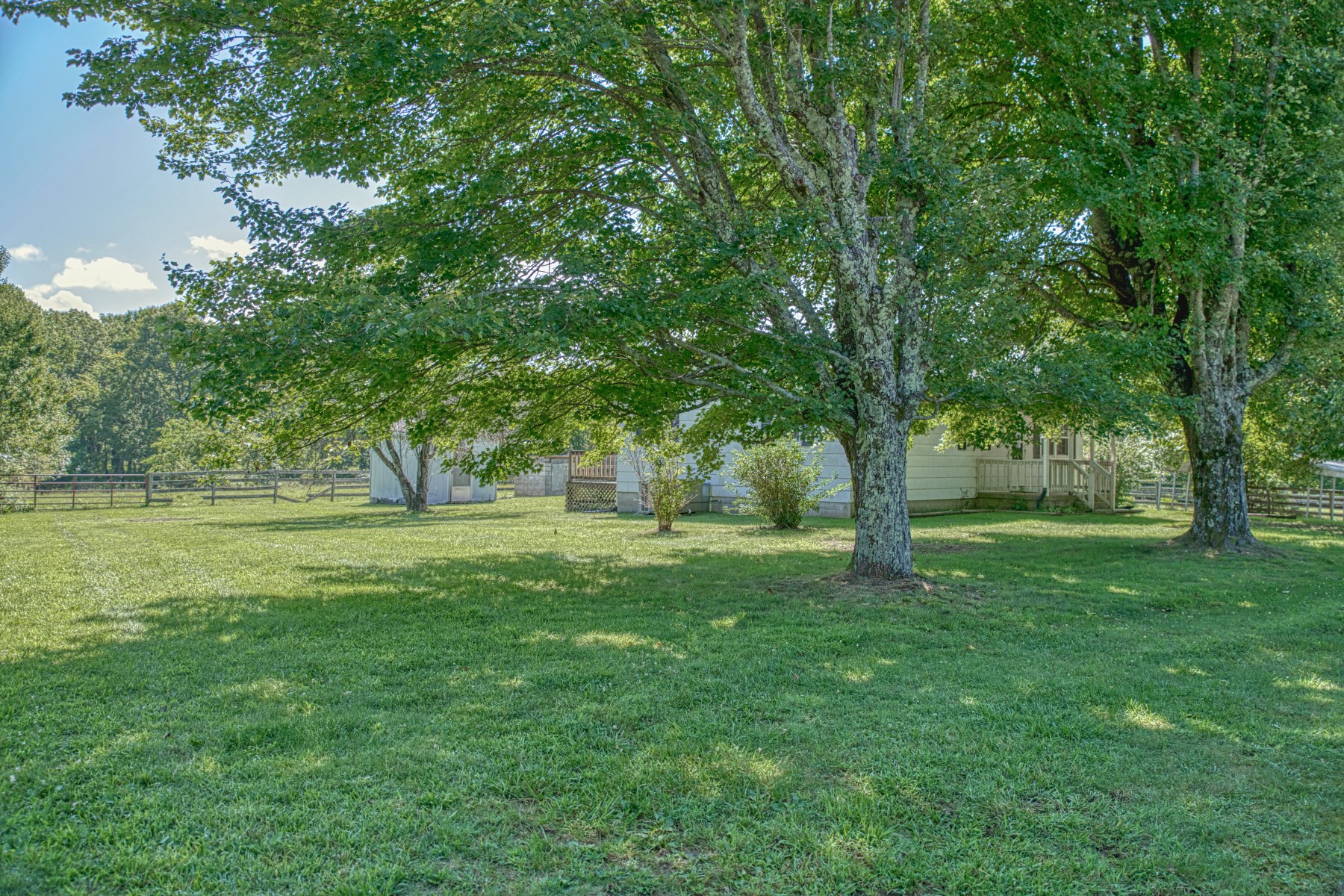 2110 Jr Camp Road Monterey, TN 38574 - Photo 2 of 35 a view of backyard with large trees