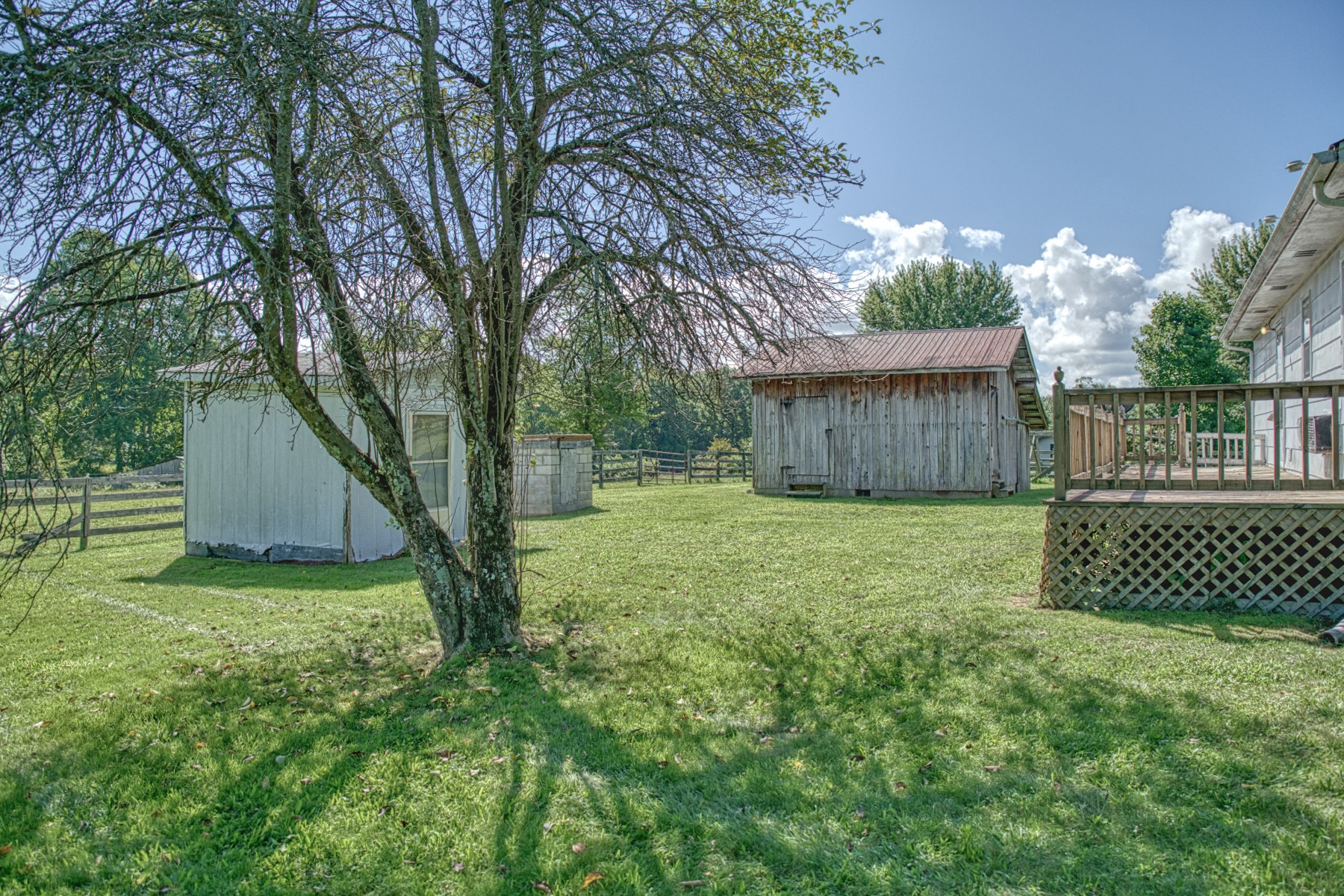 2110 Jr Camp Road Monterey, TN 38574 - Photo 4 of 35 a view of a backyard