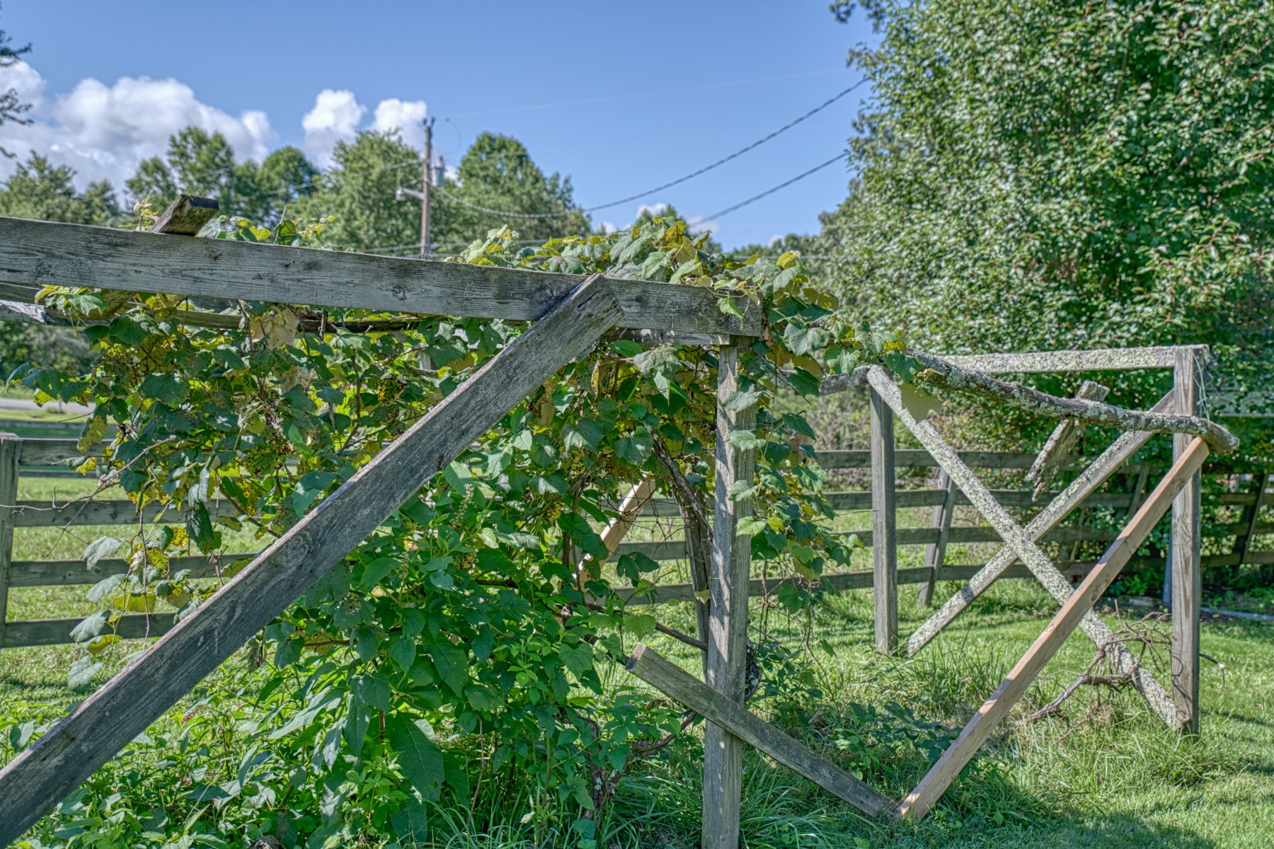 2110 Jr Camp Road Monterey, TN 38574 - Photo 6 of 35