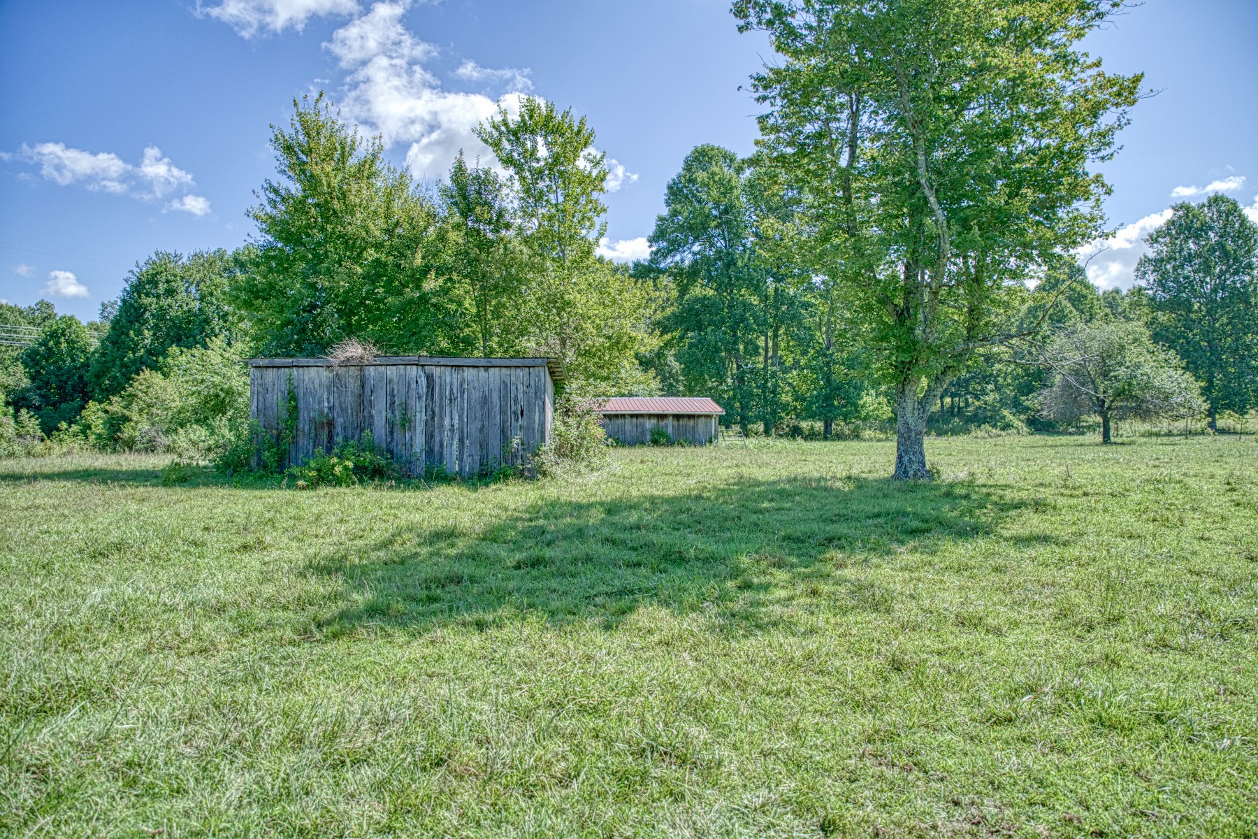 2110 Jr Camp Road Monterey, TN 38574 - Photo 10 of 35 a backyard of a house